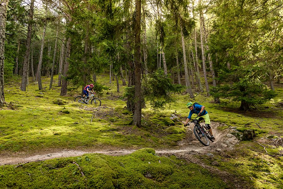 Mountain bike on the trails at the Passo Resia