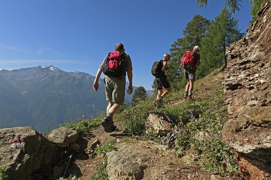 Hiking in the Vinschgau Valley